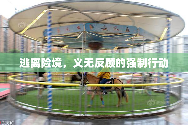 逃离险境，义无反顾的强制行动