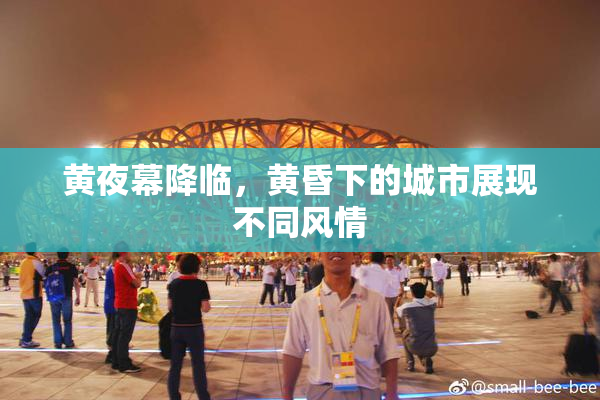 黄夜幕降临，黄昏下的城市展现不同风情