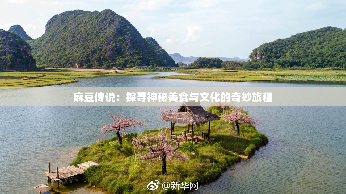 麻豆传说：探寻神秘美食与文化的奇妙旅程
