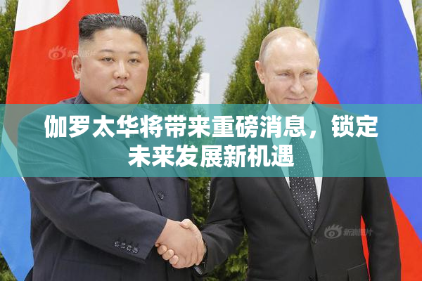 伽罗太华将带来重磅消息，锁定未来发展新机遇