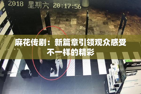 麻花传剧：新篇章引领观众感受不一样的精彩