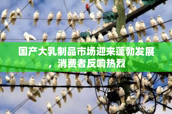 国产大乳制品市场迎来蓬勃发展，消费者反响热烈