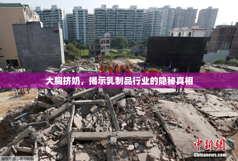 大胸挤奶，揭示乳制品行业的隐秘真相