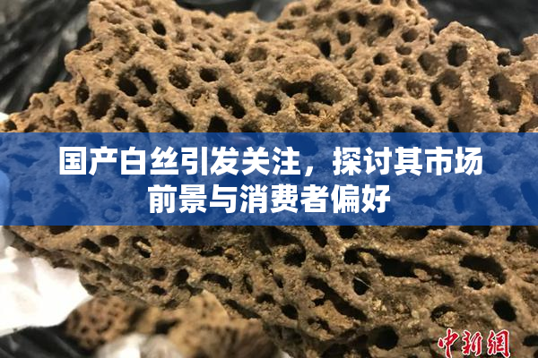 国产白丝引发关注，探讨其市场前景与消费者偏好