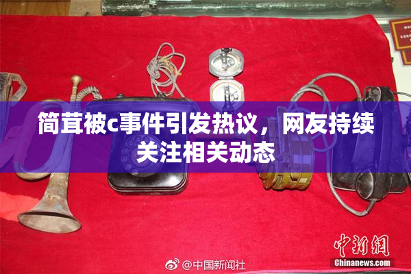 简茸被c事件引发热议，网友持续关注相关动态