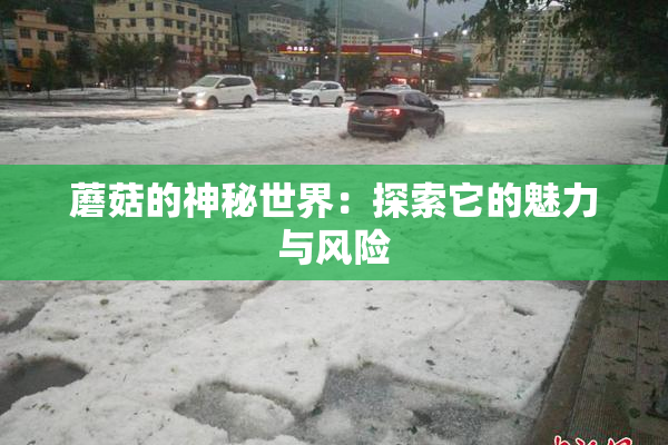 蘑菇的神秘世界：探索它的魅力与风险