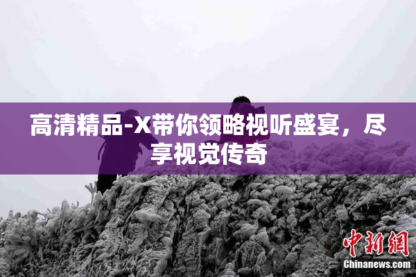 高清精品-X带你领略视听盛宴，尽享视觉传奇