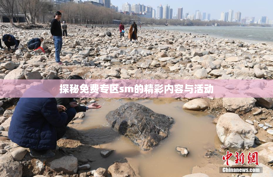 探秘免费专区sm的精彩内容与活动