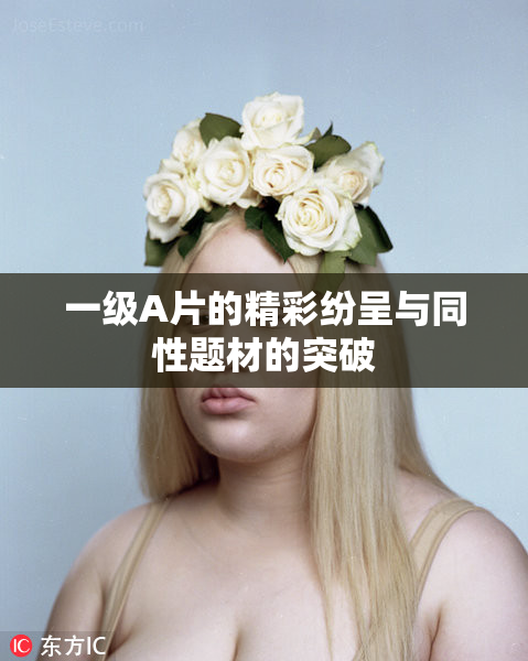一级A片的精彩纷呈与同性题材的突破