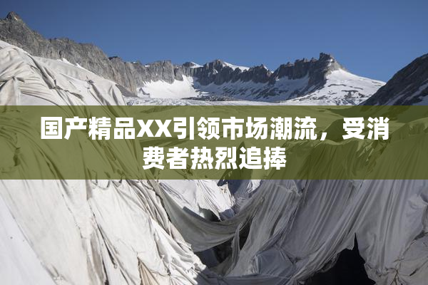 国产精品XX引领市场潮流，受消费者热烈追捧