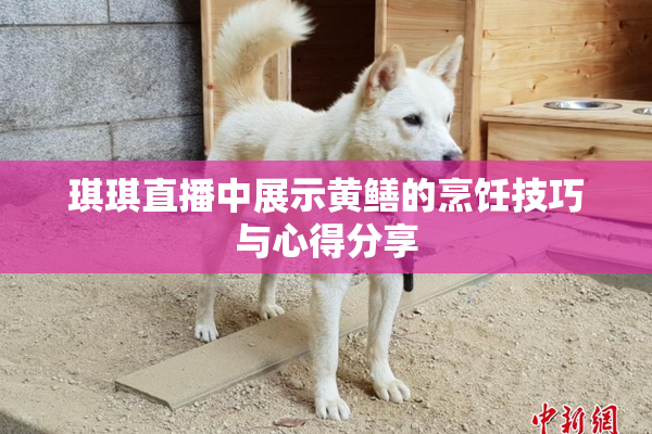 琪琪直播中展示黄鳝的烹饪技巧与心得分享