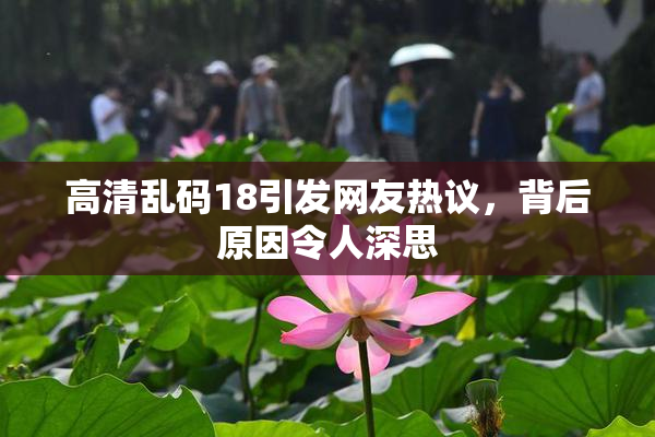 高清乱码18引发网友热议，背后原因令人深思