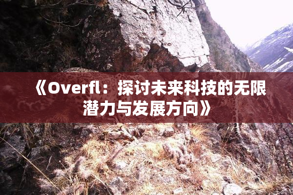 《Overfl：探讨未来科技的无限潜力与发展方向》