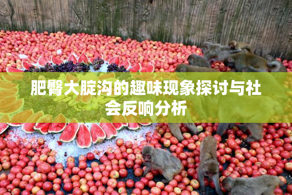 肥臀大腚沟的趣味现象探讨与社会反响分析