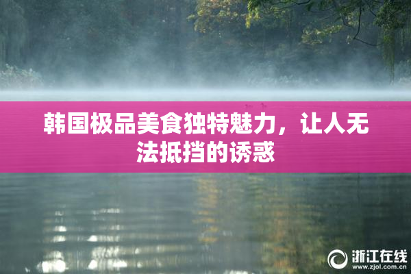 韩国极品美食独特魅力，让人无法抵挡的诱惑