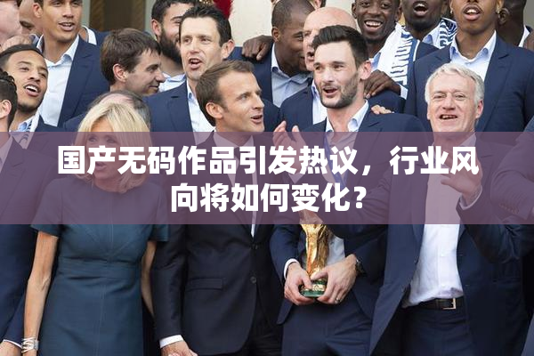国产无码作品引发热议，行业风向将如何变化？