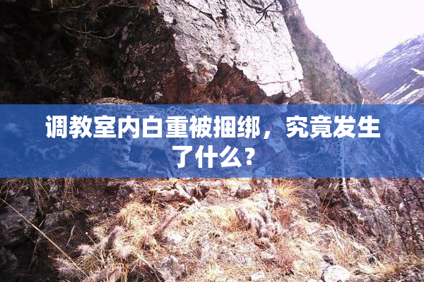 调教室内白重被捆绑，究竟发生了什么？