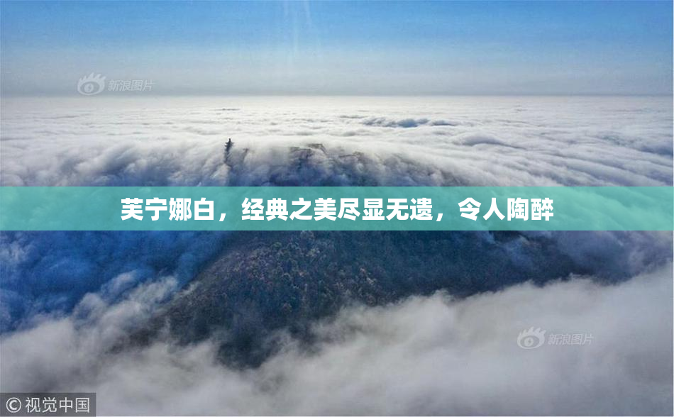 芙宁娜白，经典之美尽显无遗，令人陶醉