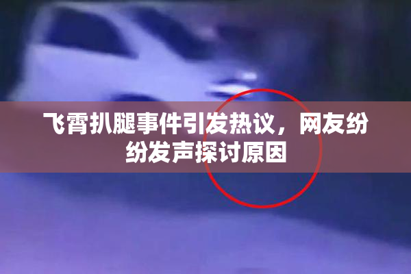 飞霄扒腿事件引发热议，网友纷纷发声探讨原因