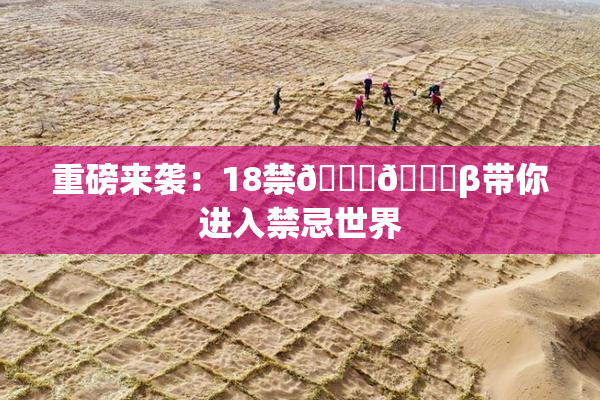 重磅来袭：18禁🍆🍑β带你进入禁忌世界