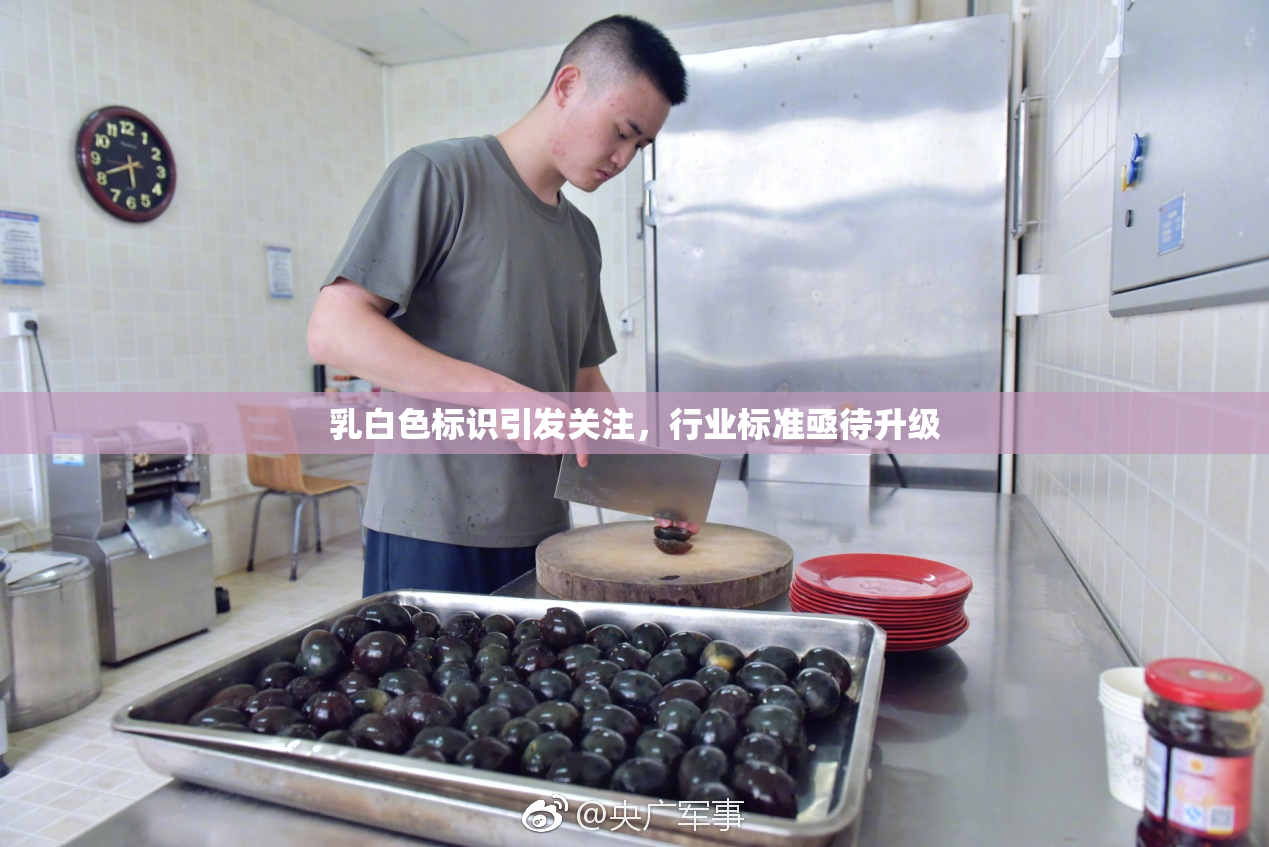 乳白色标识引发关注，行业标准亟待升级