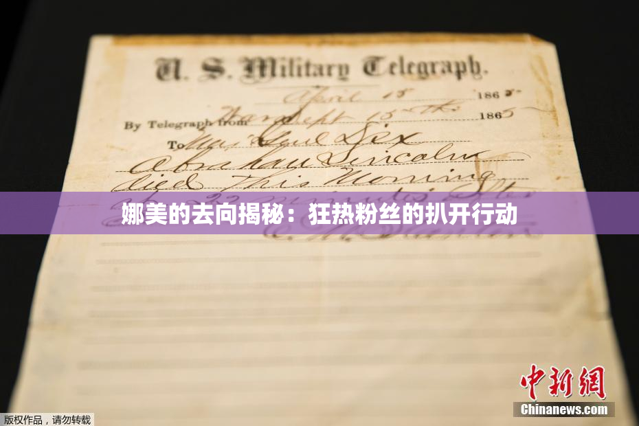 娜美的去向揭秘：狂热粉丝的扒开行动