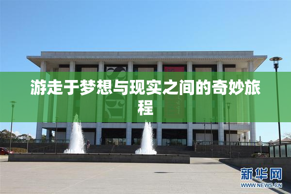 游走于梦想与现实之间的奇妙旅程