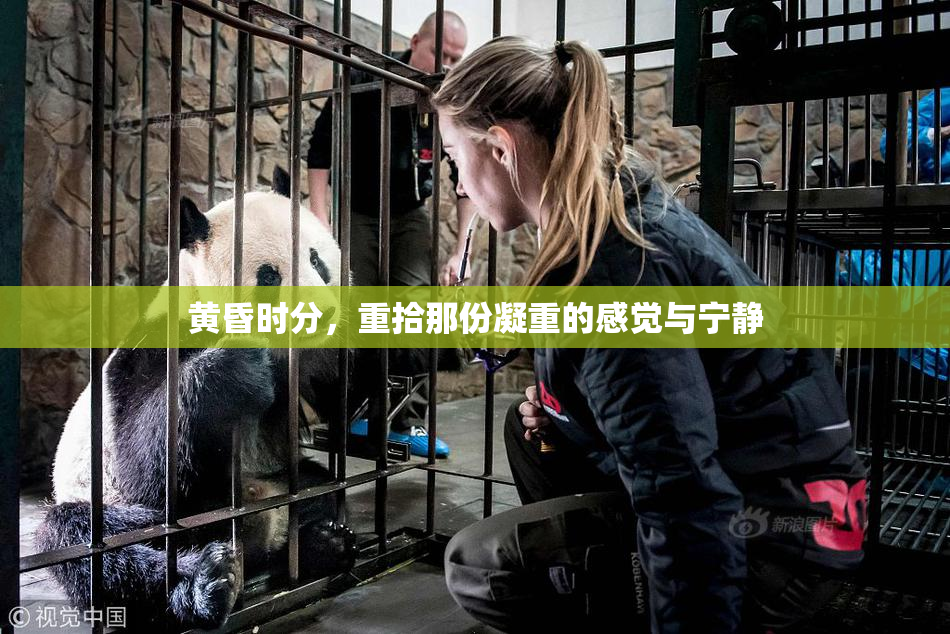 黄昏时分，重拾那份凝重的感觉与宁静