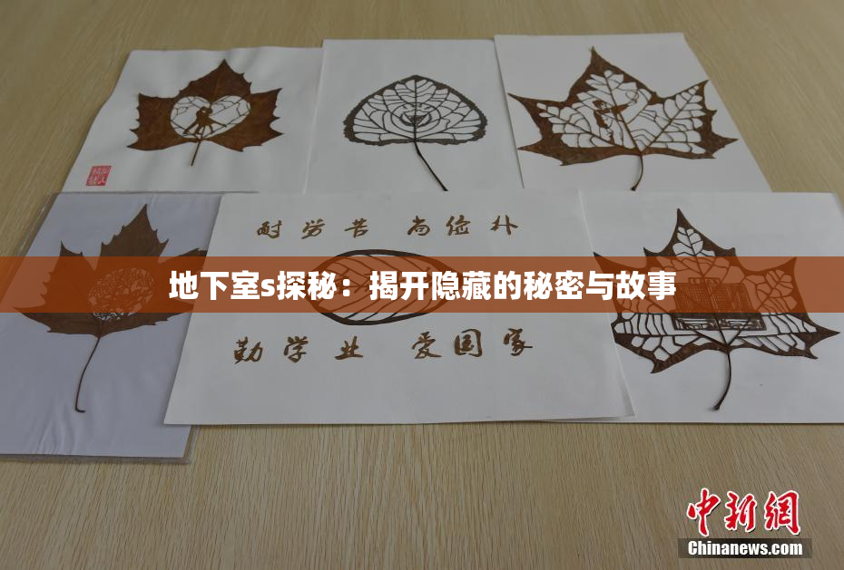 地下室s探秘：揭开隐藏的秘密与故事