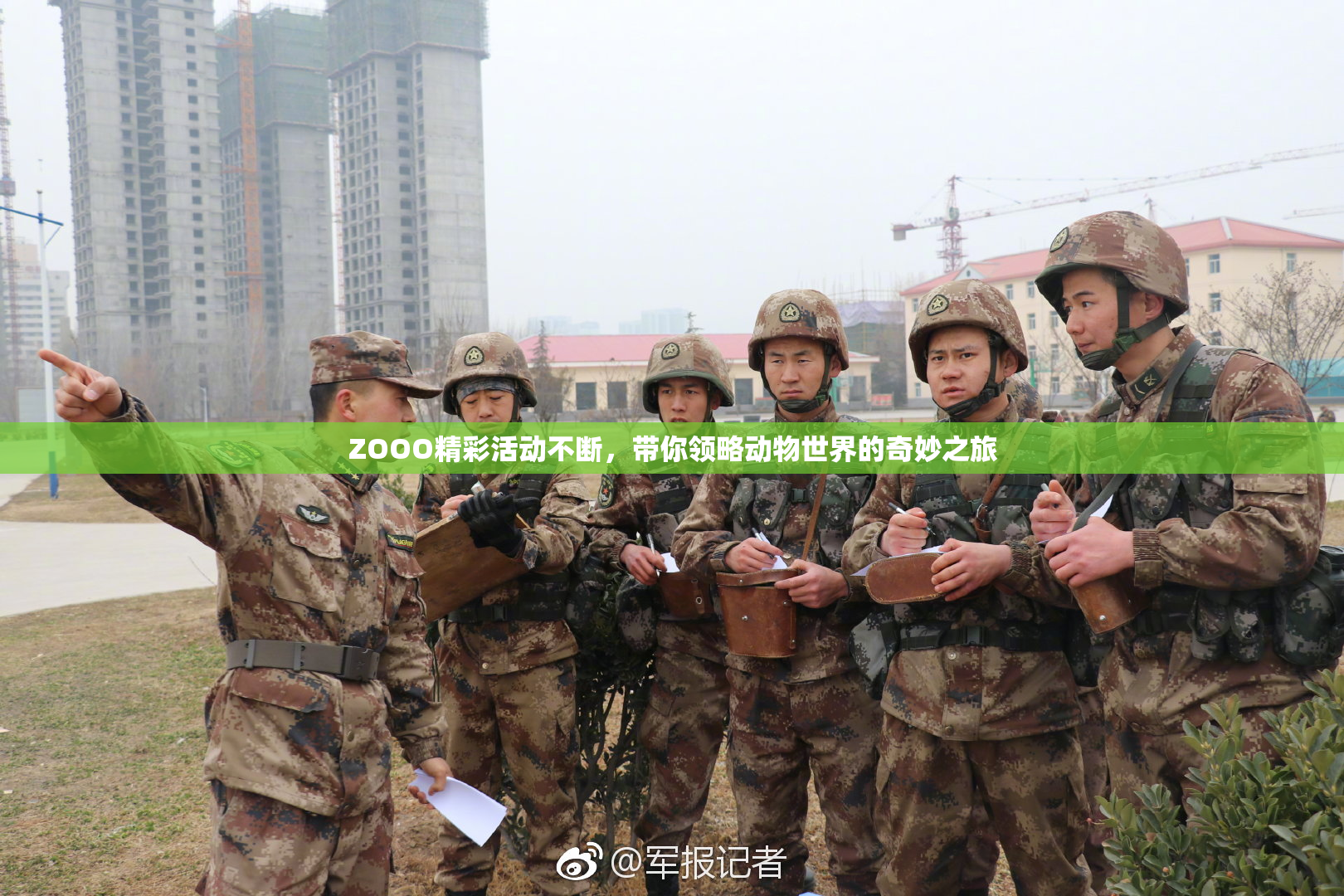 ZOOO精彩活动不断，带你领略动物世界的奇妙之旅