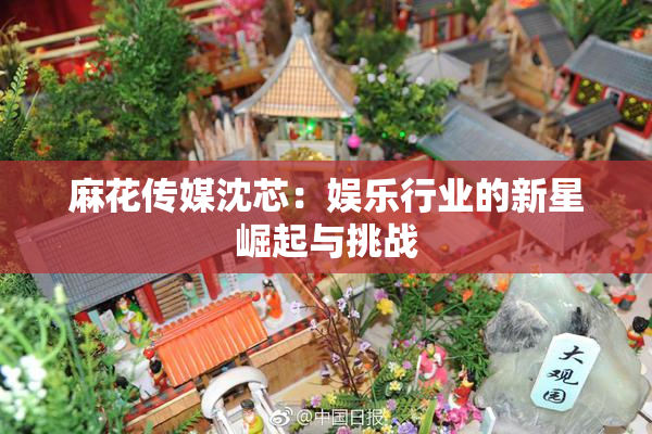 麻花传媒沈芯：娱乐行业的新星崛起与挑战