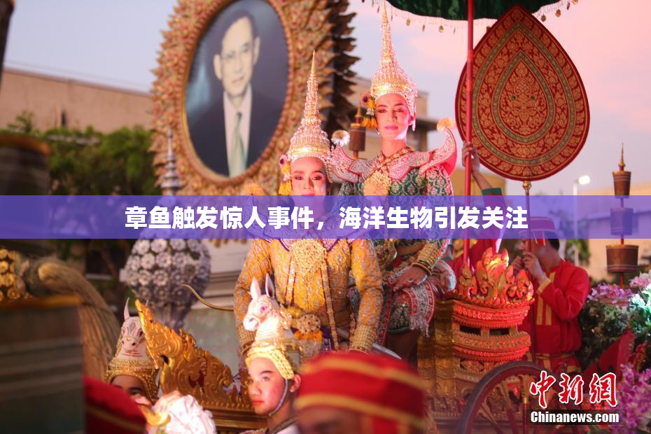 章鱼触发惊人事件，海洋生物引发关注