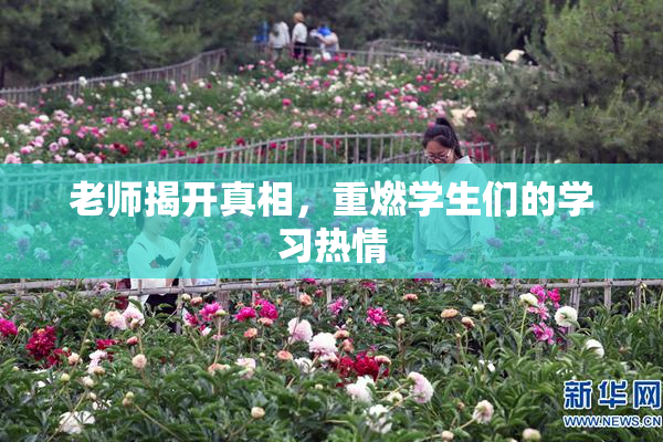 老师揭开真相，重燃学生们的学习热情