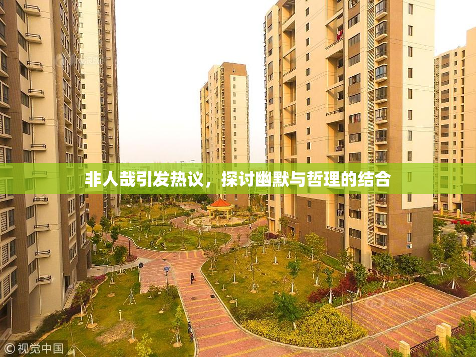 非人哉引发热议，探讨幽默与哲理的结合