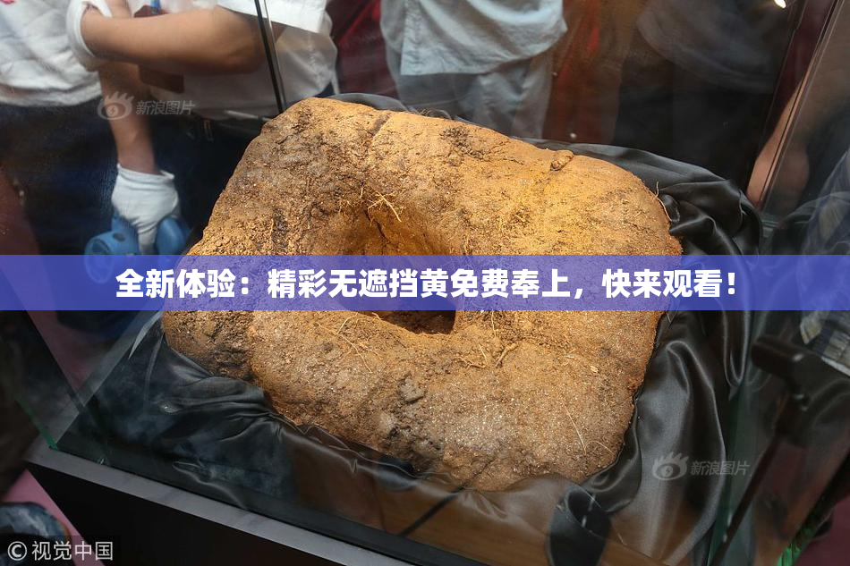 全新体验：精彩无遮挡黄免费奉上，快来观看！