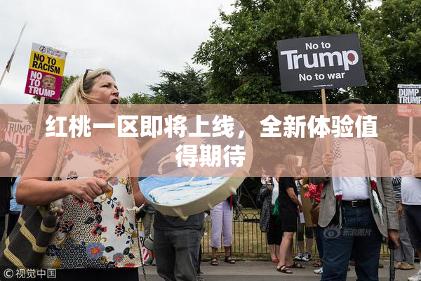 红桃一区即将上线，全新体验值得期待