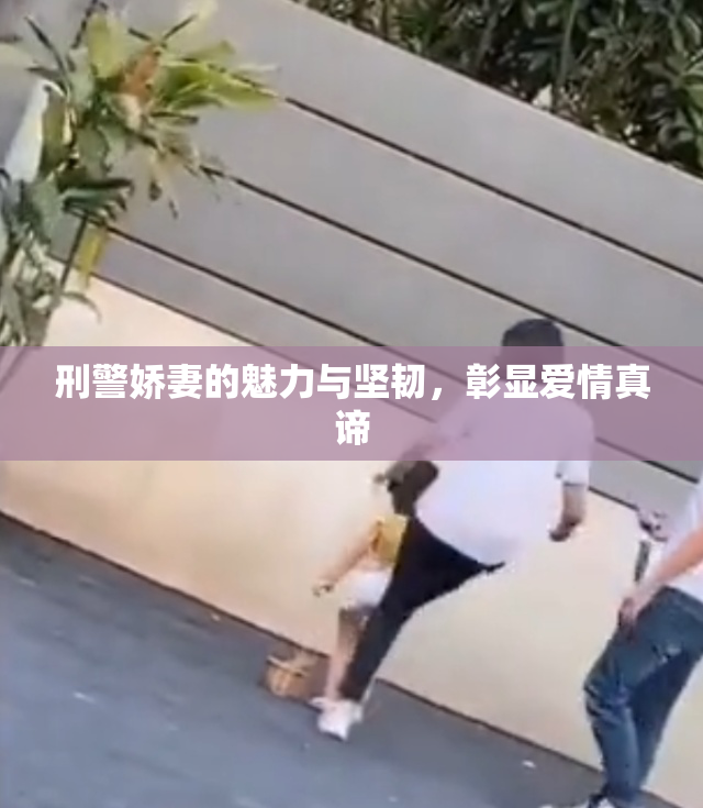 刑警娇妻的魅力与坚韧，彰显爱情真谛