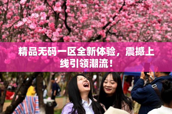 精品无码一区全新体验，震撼上线引领潮流！