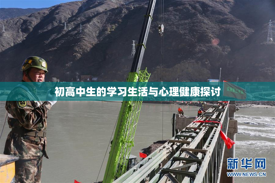 初高中生的学习生活与心理健康探讨
