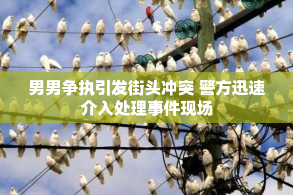 男男争执引发街头冲突 警方迅速介入处理事件现场