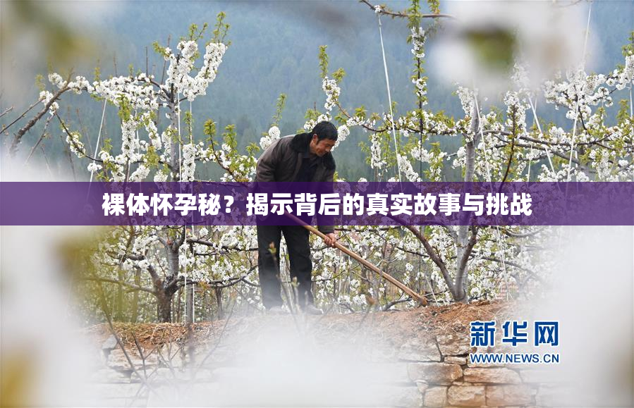裸体怀孕秘？揭示背后的真实故事与挑战
