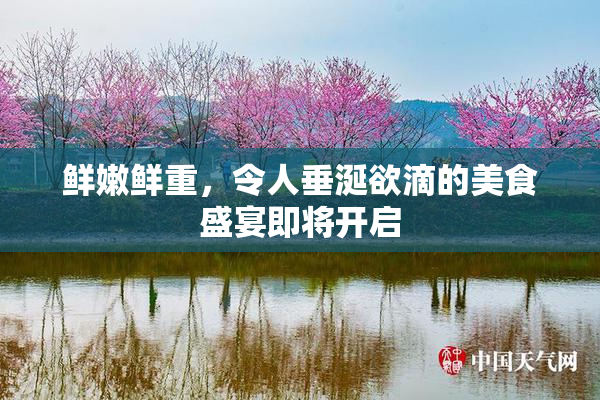 鲜嫩鲜重，令人垂涎欲滴的美食盛宴即将开启