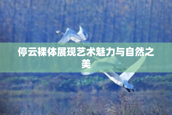 停云裸体展现艺术魅力与自然之美