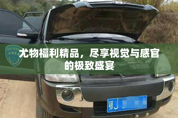 尤物福利精品，尽享视觉与感官的极致盛宴