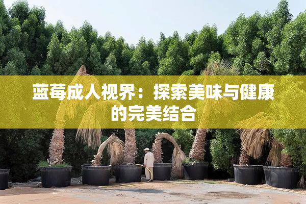 蓝莓成人视界：探索美味与健康的完美结合