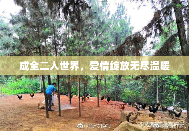 成全二人世界，爱情绽放无尽温暖