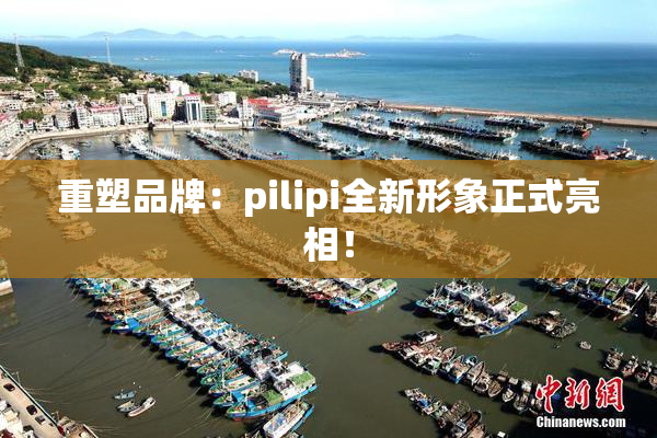 重塑品牌：pilipi全新形象正式亮相！