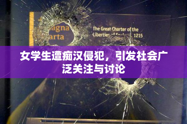 女学生遭痴汉侵犯，引发社会广泛关注与讨论