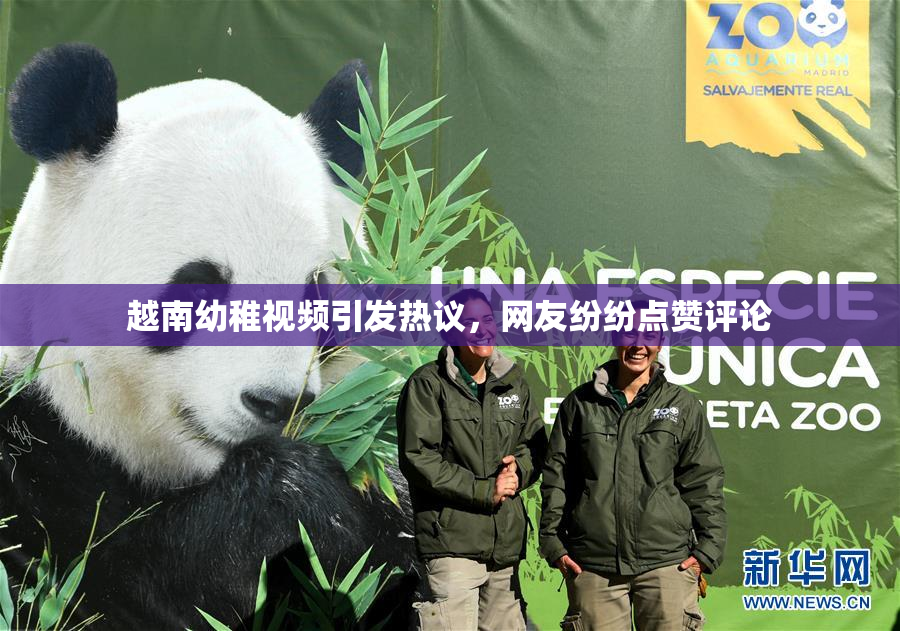 越南幼稚视频引发热议，网友纷纷点赞评论