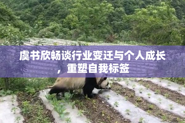 虞书欣畅谈行业变迁与个人成长，重塑自我标签